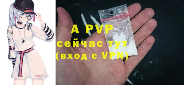 СК Арсеньев