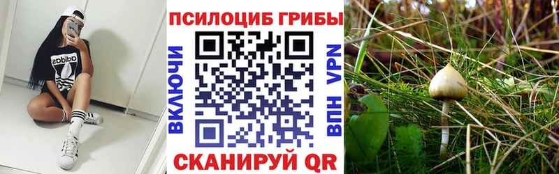 Галлюциногенные грибы прущие грибы  Сусуман 