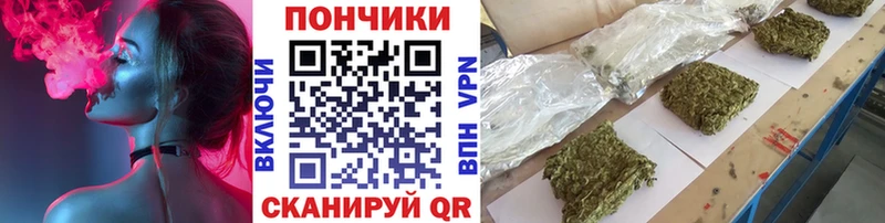 Шишки марихуана сатива  Сусуман 